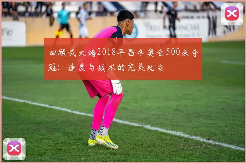 回顾武大靖2018平昌冬奥会500米夺冠:速度与战术的完美结合