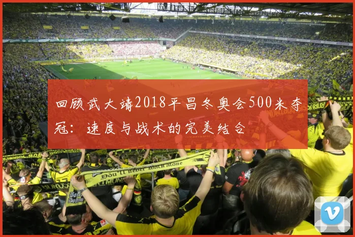 回顾武大靖2018平昌冬奥会500米夺冠:速度与战术的完美结合